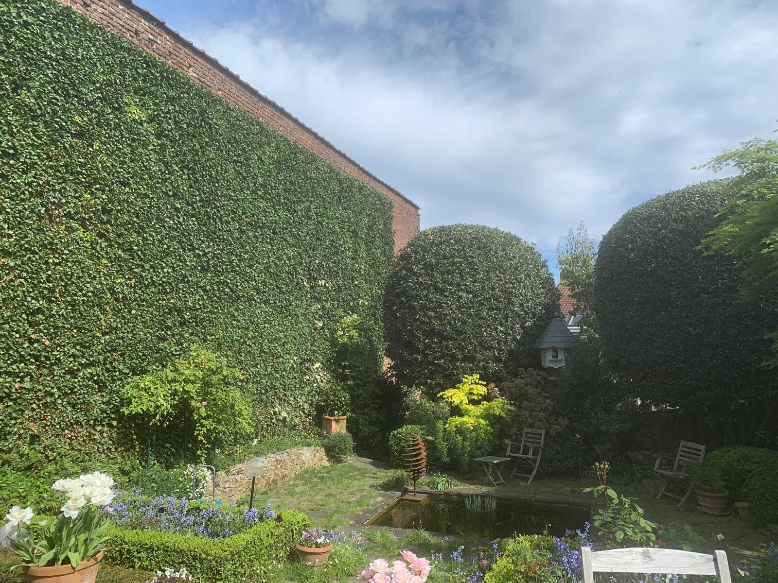 Entretien de jardin